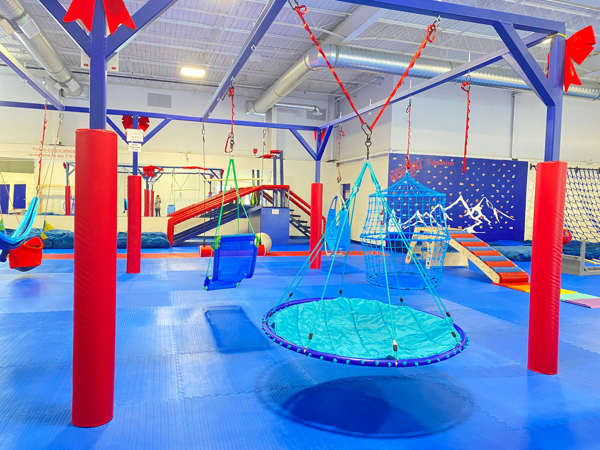 We Rock the Spectrum Indoor Kid's Gym | Edmonton – Homestead Roots