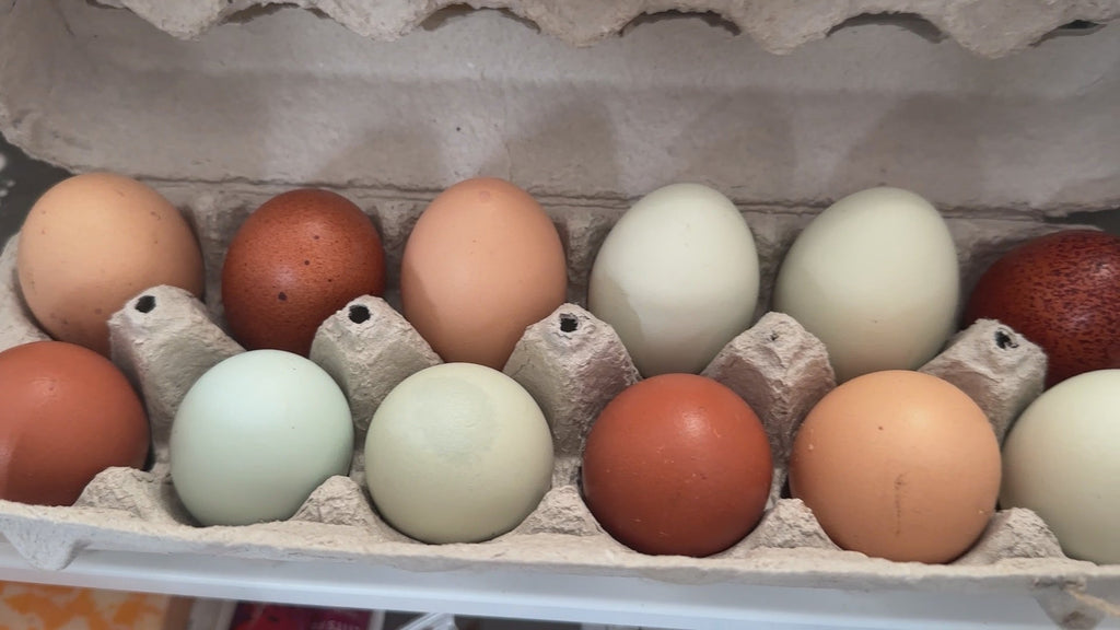 Super Simple Pickled Eggs's